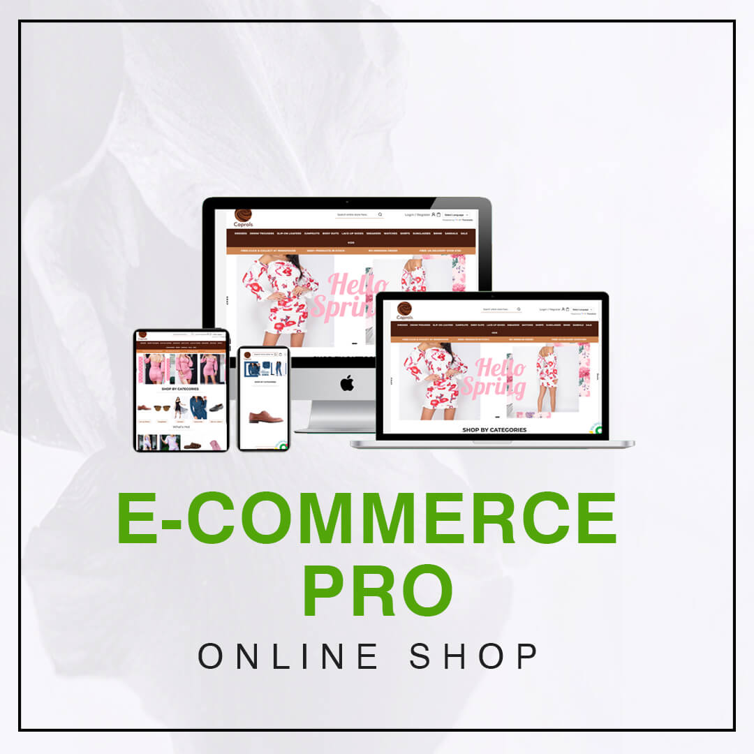 Option 6 – E-Commerce